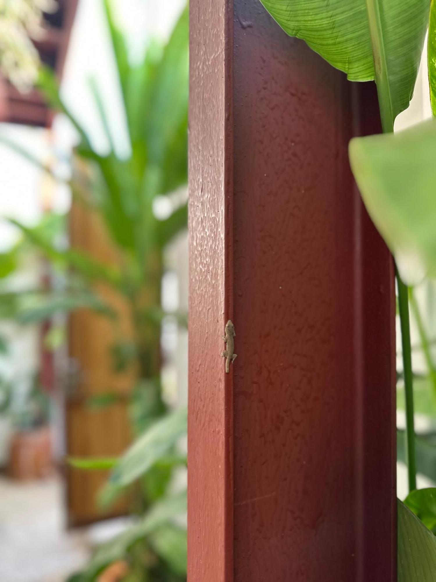 Palmcalina - Phuqui Beach House Cu Lao Thu Eksteriør billede