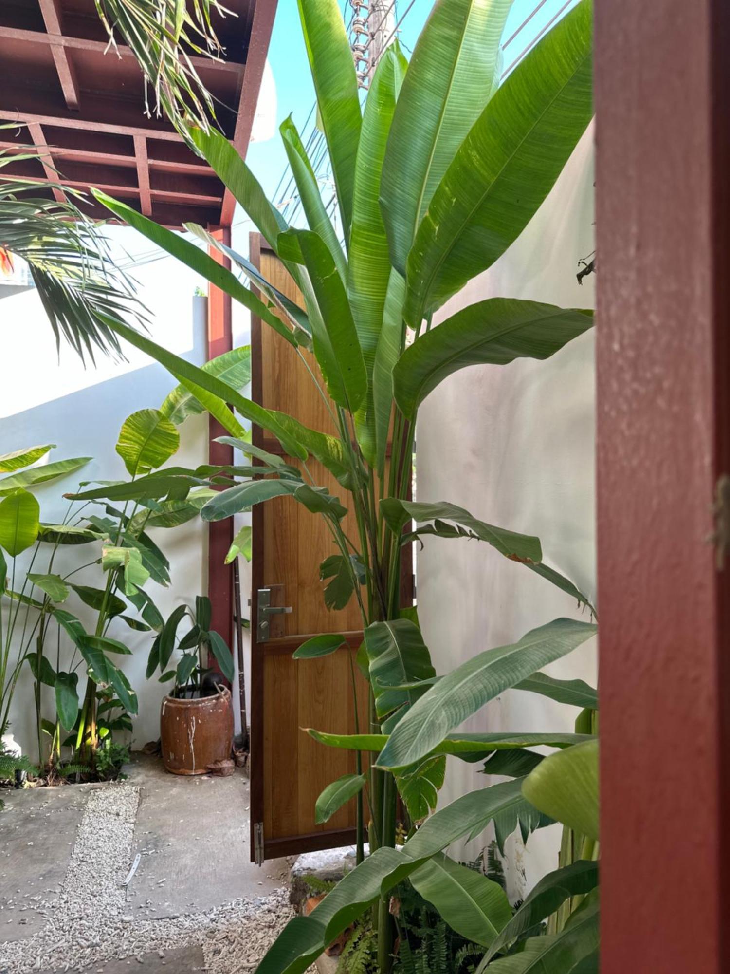 Palmcalina - Phuqui Beach House Cu Lao Thu Eksteriør billede