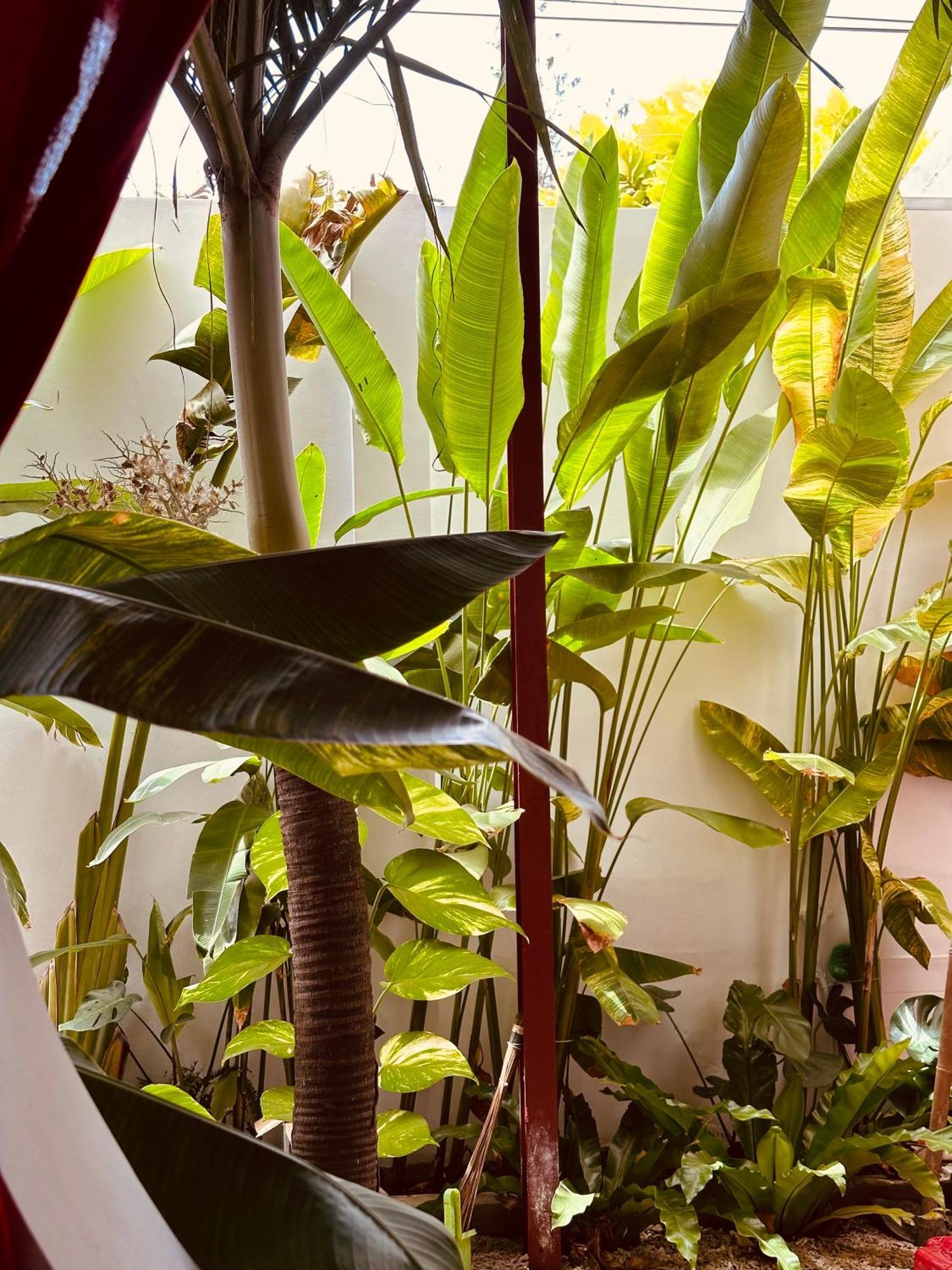 Palmcalina - Phuqui Beach House Cu Lao Thu Eksteriør billede