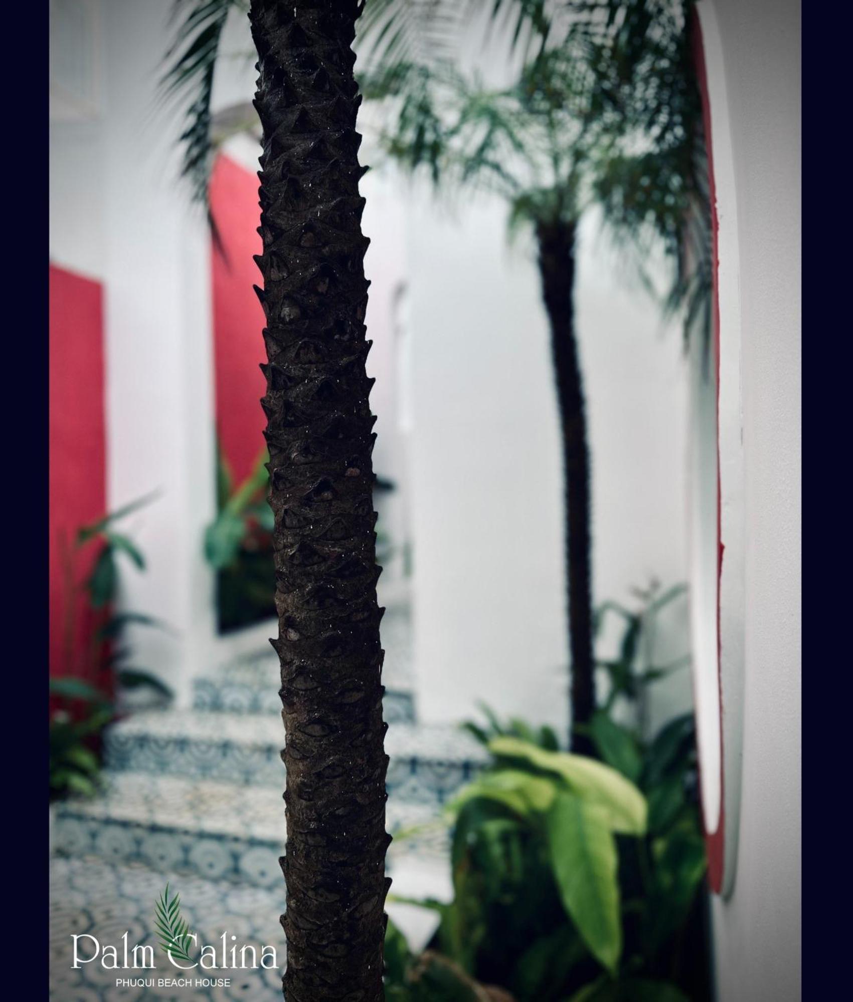 Palmcalina - Phuqui Beach House Cu Lao Thu Eksteriør billede